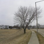 0 Park Avenue  Lake Villa IL 60046