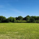 2732 Ridgefield Drive Crete IL 60417