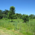 23787 Reindeer Trail  Lake Villa IL 60046