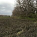 0000 Merchants Street  Essex IL 60935