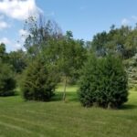 5548 Heatherbrook Trail Monee IL 60449