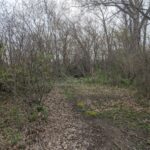 1211 - 1227 Joliet Street  Dyer IN 46311