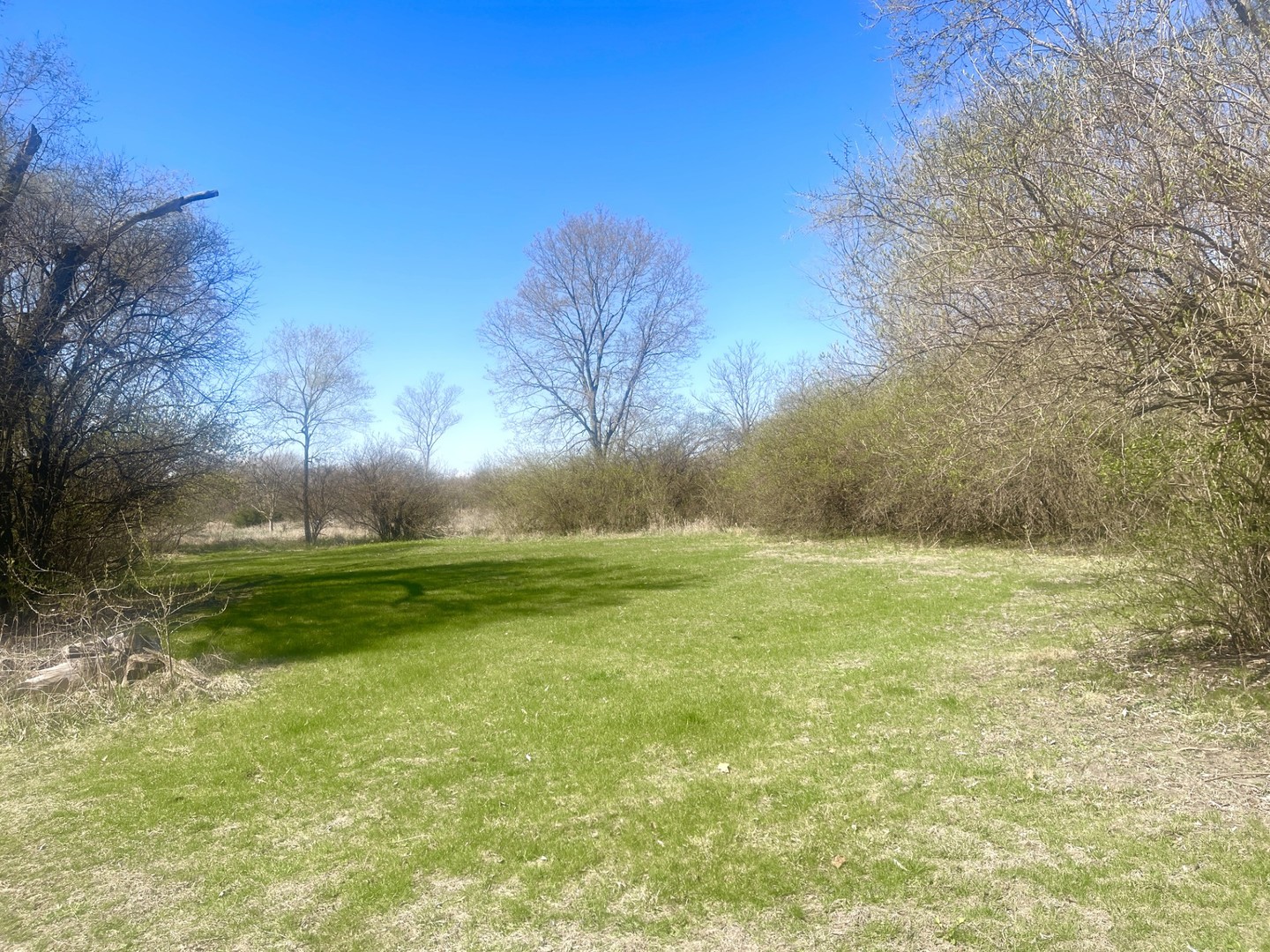 0 Johnson Street  Utica IL 61373