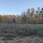 510 Grove Street  Farmer City IL 61842