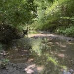 LOT 63 and 78 Cobble Creek Lane  Heyworth IL 61745