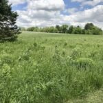 0 Lot 2 Ratfield Road  Marengo IL 60152