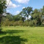 5548 Heatherbrook Trail Monee IL 60449