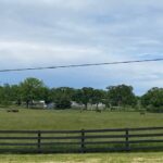 Lot 65 & 66 Main Street  Spring Grove IL 60081