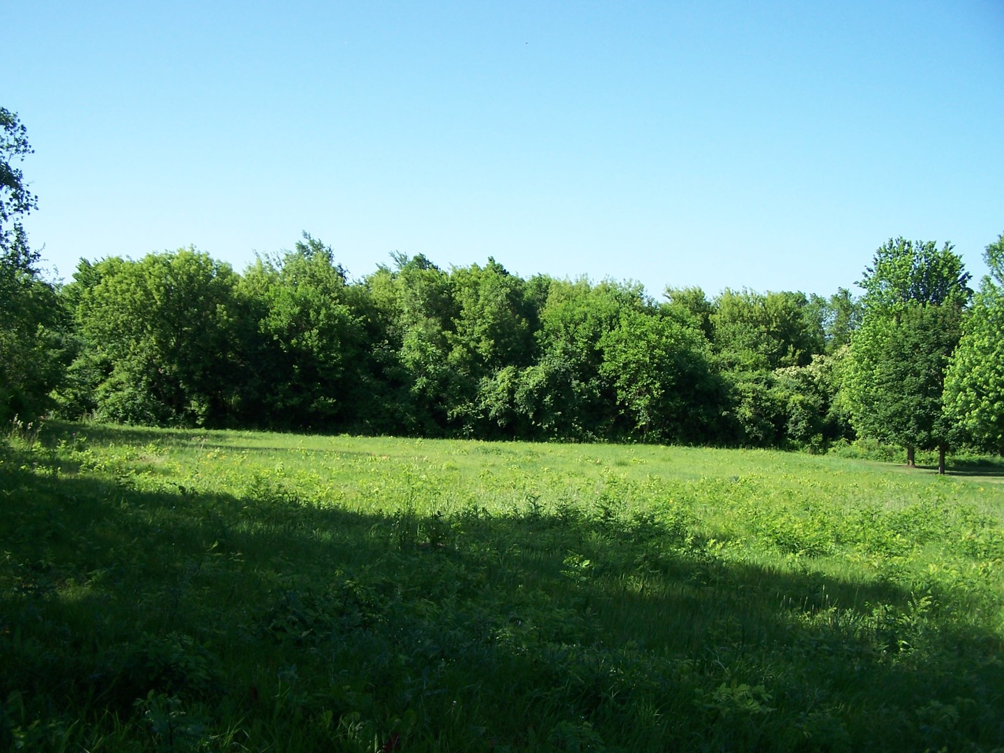 6109 Whiting Drive  McHenry IL 60050