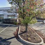 2418 Indian Trail Road G Aurora IL 60506