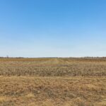 32309 Cedar Road  Manhattan IL 60442