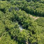 Tract 1 Mint Lane Clay City IL 62824