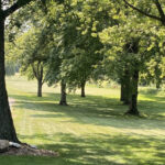 14119 W. Maple Road  Mokena IL 60448