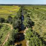 Tract 5 East Radio Tower Road  Clay City IL 62824