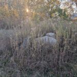 510 Grove Street  Farmer City IL 61842