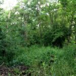 15450 Purley Court  Homer Glen IL 60491