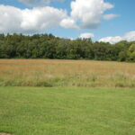 1750 Oakley Avenue  Streator IL 61364