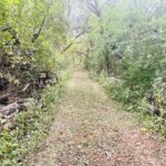 1994 2753rd Road  Ottawa IL 61350