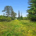 141 Breakenridge Farm Road  Oak Brook IL 60523