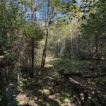 23976 Beach Grove Road  Antioch IL 60002