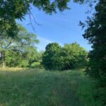 3523 Long Grove Road  Long Grove IL 60047