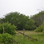 1-11 SOUTH Street  Elgin IL 60123