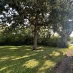 4804 118th Street  Alsip IL 60803