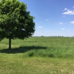 17402 Wildflower Circle  Union IL 60180