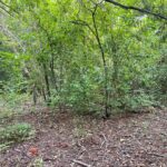 1351 Sheridan Road  Lake Forest IL 60045