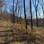 TBD Wann Street  Galena IL 61036