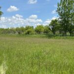 7514 Glacier Lake Way  Richmond IL 60071