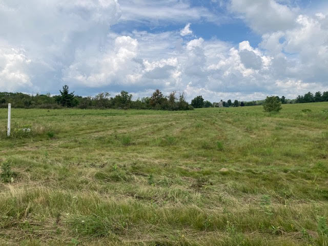 Lot #33 LONGWOOD Drive  Woodstock IL 60098