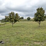 4215 Il Route 47   Woodstock IL 60098