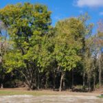 8621 US Highway 12 Highway  Richmond IL 60071