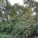 10401 Kenilworth Avenue  Algonquin IL 60102