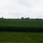 7500 Rt 50   Manteno IL 60950