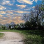 955 Rand Road  Des Plaines IL 60016