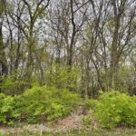 3319 Lakewood Drive  Prairie Grove IL 60012