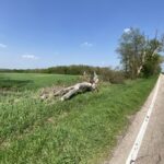 0000 Higgins Road  Hampshire IL 60140