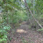 8206 Eakin Grove Road  Benton IL 62812