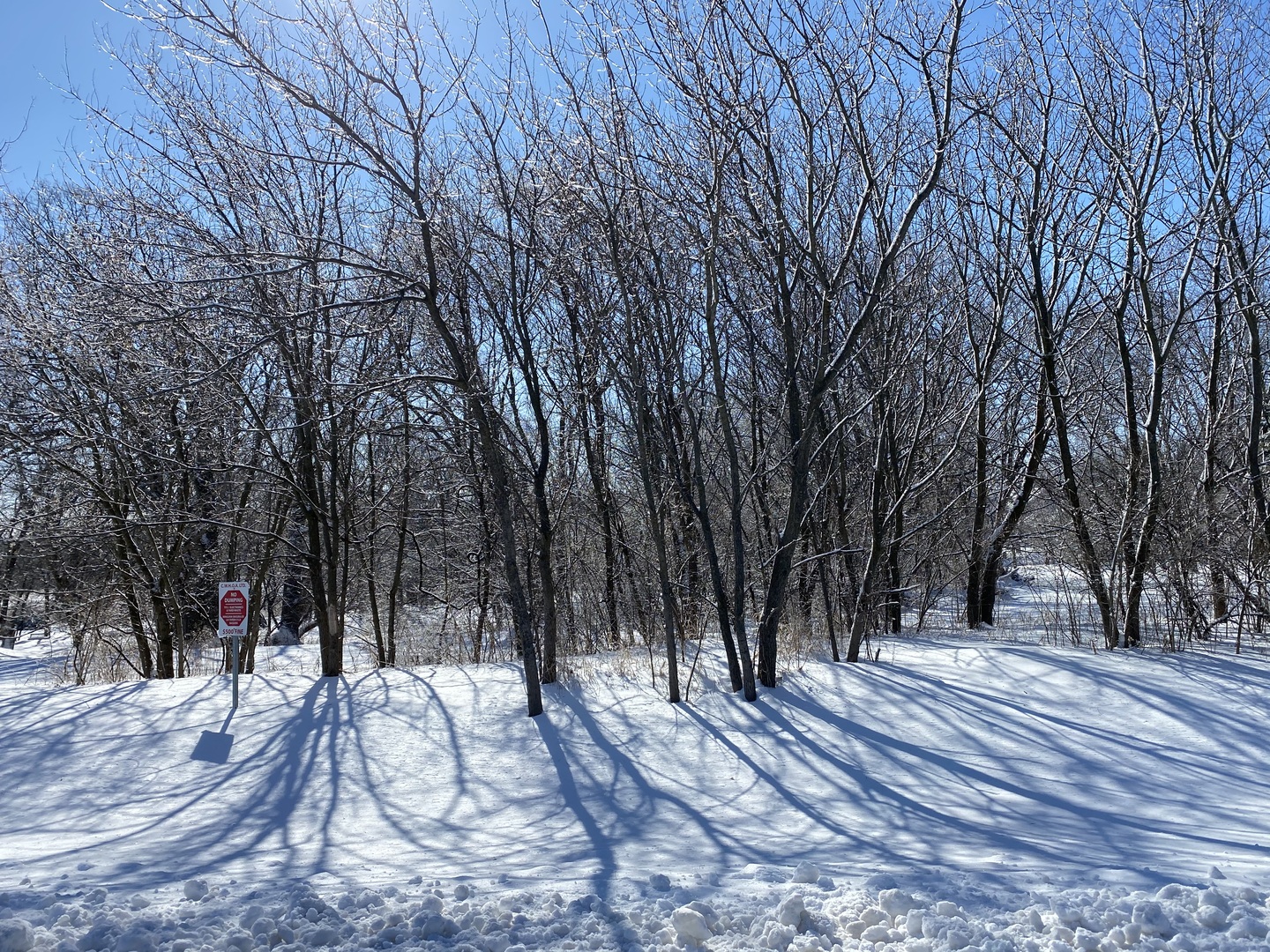 Lot 15 Campton Meadows Drive  Campton Hills IL 60119