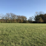 2808 Brickhouses Road  Urbana IL 61802