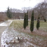228 Crissey Avenue  Geneva IL 60134