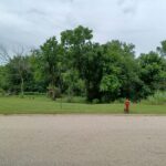 109 Creekside Drive  Elwood IL 60421