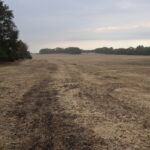 21111 550 Street  Sheffield IL 61361