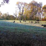 618 Princeton Road  Depue IL 61322