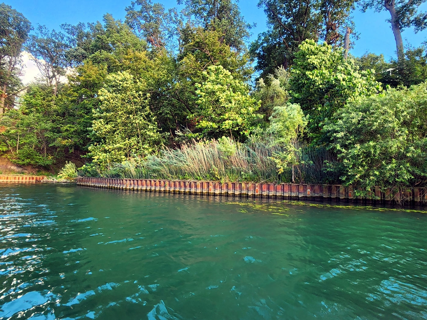 Lot 270 Elm Tree Drive  Varna IL 61375