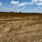 2000 County Road  Varna IL 61375