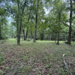 Lot 235 Lake Thunderbird Drive  Tiskilwa IL 61368