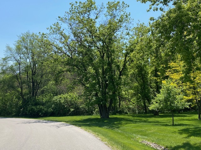 3.8 Ac Johnsburg Road  Johnsburg IL 60051